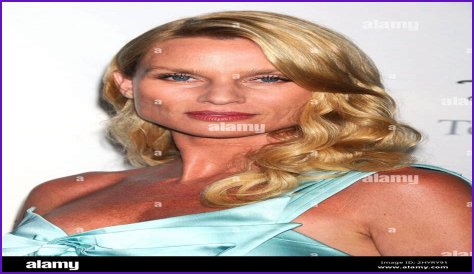 All About Nicollette Sheridan: A Television Icon